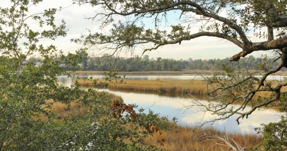 Top 20 Things to Do in Biloxi, Mississippi