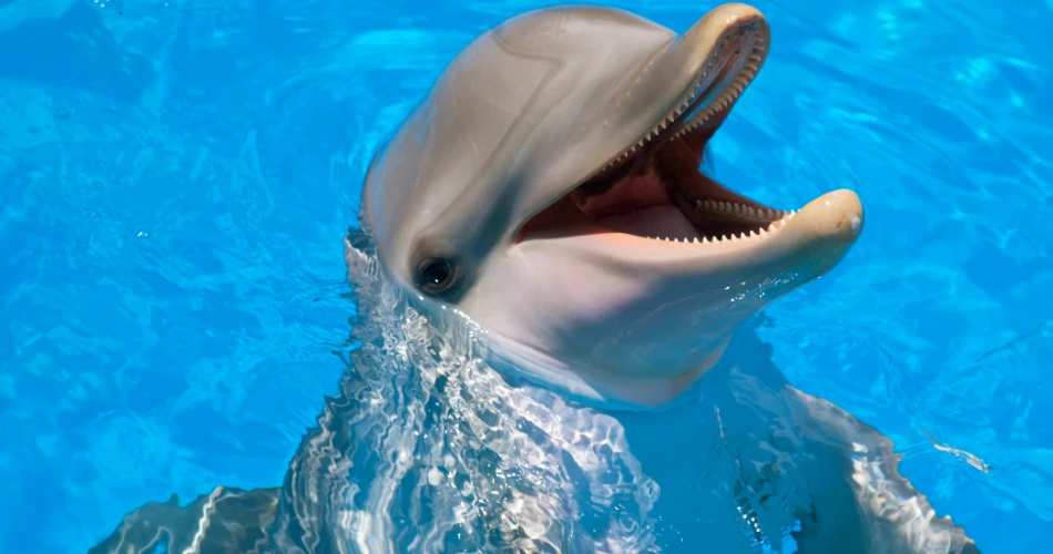 Top 20 Things to Do in Biloxi, Mississippi